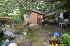 162770227 - zdjęcie nr 5