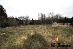 158690227 - zdjęcie nr 4