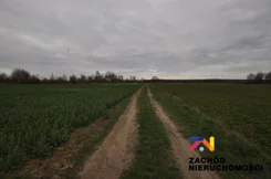 161030227 - zdjęcie nr 5