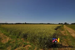 162000227 - zdjęcie nr 1