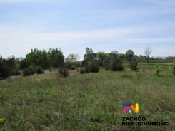 141470227 - zdjęcie nr 3