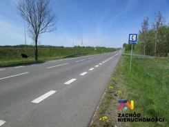 141470227 - zdjęcie nr 5