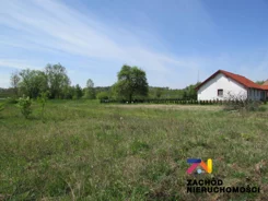 133560227 - zdjęcie nr 2