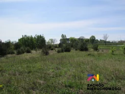 133560227 - zdjęcie nr 3