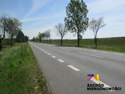 133560227 - zdjęcie nr 4
