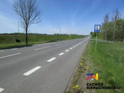 133560227 - zdjęcie nr 5