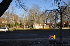 164760227 - zdjęcie nr 2