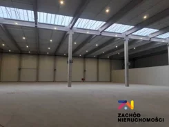 165670227 - zdjęcie nr 0