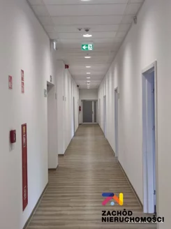 165860227 - zdjęcie nr 1