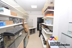 162390227 - zdjęcie nr 4