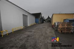 159450227 - zdjęcie nr 0