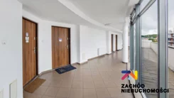 164630227 - zdjęcie nr 3