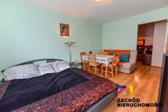 163580227 - zdjęcie nr 0