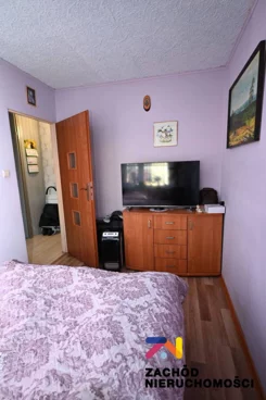 164820227 - zdjęcie nr 2