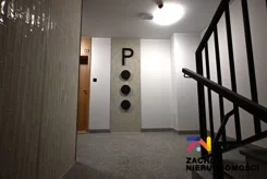 164490227 - zdjęcie nr 5