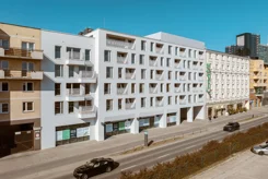 Dolna Górna Wilda - zdjęcie nr 4