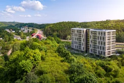 GreenLine - zdjęcie nr 4