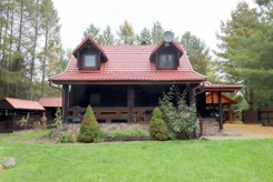 2464 - zdjęcie nr 2