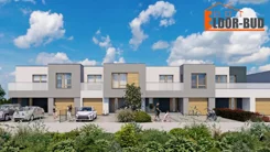 2478 - zdjęcie nr 4