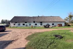2445 - zdjęcie nr 3