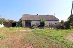 2445 - zdjęcie nr 4