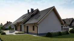 2504 - zdjęcie nr 2