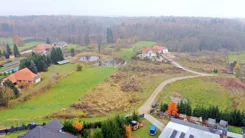 2541 - zdjęcie nr 3