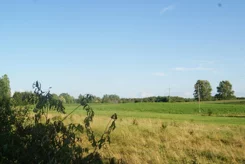 2197 - zdjęcie nr 2