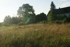 2197 - zdjęcie nr 3