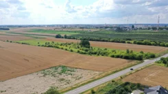 2203 - zdjęcie nr 3