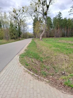 2559 - zdjęcie nr 2