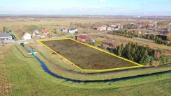 2485 - zdjęcie nr 3