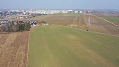 2495 - zdjęcie nr 2
