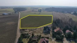 2495 - zdjęcie nr 4