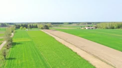 2133 - zdjęcie nr 3