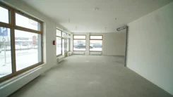 2517 - zdjęcie nr 2