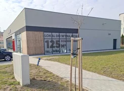 2550 - zdjęcie nr 2