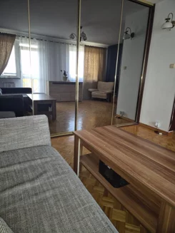 2539 - zdjęcie nr 3