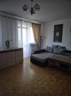 2539 - zdjęcie nr 4