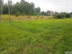 2677 - zdjęcie nr 2
