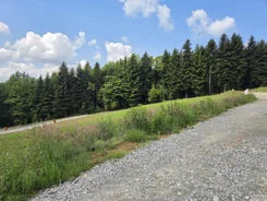 2657 - zdjęcie nr 4