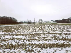 2669 - zdjęcie nr 0