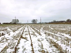 2669 - zdjęcie nr 1