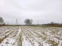 2669 - zdjęcie nr 3