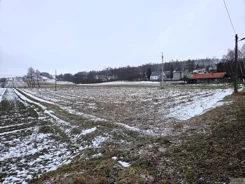 2669 - zdjęcie nr 4