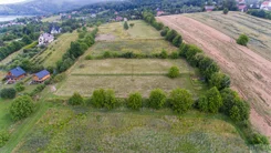 2622 - zdjęcie nr 1