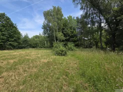 2568 - zdjęcie nr 2