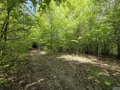2635 - zdjęcie nr 2