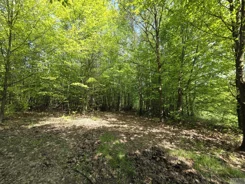 2635 - zdjęcie nr 3