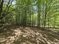 2635 - zdjęcie nr 4